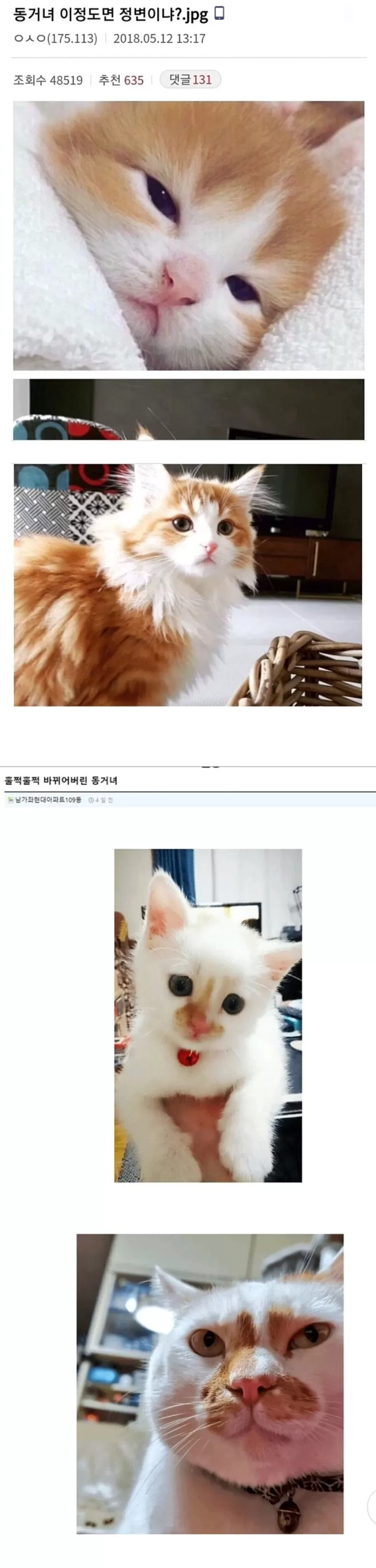 1696496897276.webp