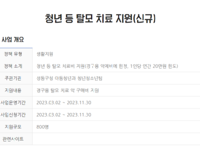 서울시의 청년 복지.jpg