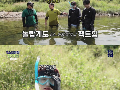 일주일에 재방송만 400번 한다는 자연인 재방료