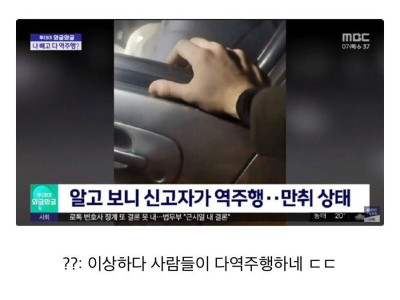 사람들이 다 역주행하길래 신고함