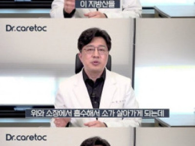소가 근육질인 이유.jpg