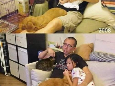 2008년 2018년.jpg