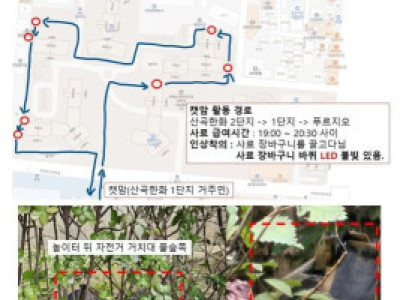 캣맘 vs 입주민