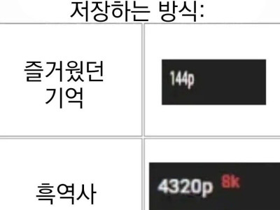 인간의 뇌가 기억을 저장하는 방식.jpg
