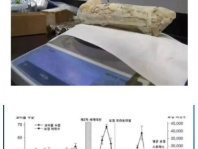 신기방기 많은 정보를 담고 있는 고래의 귀지.jpg