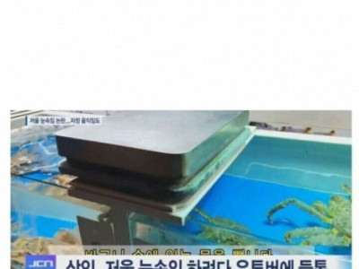 한번 속여 팔면 9만원