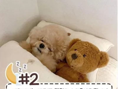 사람마다 다른 침대 허용범위.jpg