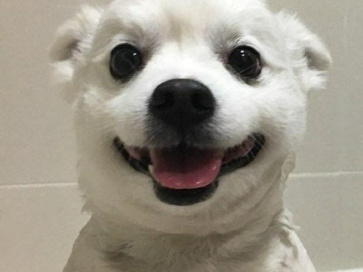 웃고가세요~
