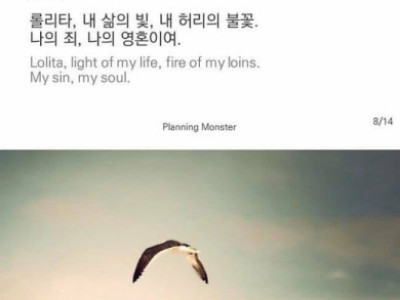 최고의 소설 도입부 TOP10..jpg