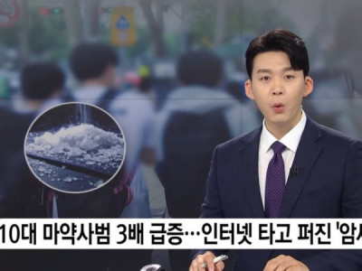 10대 마약 사범 3배 증가 암세포처럼 증가