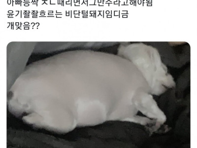 고구마 너무 먹은 댕댕이