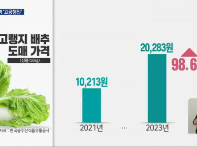 한국의 정신나간 농산물 가격 급등