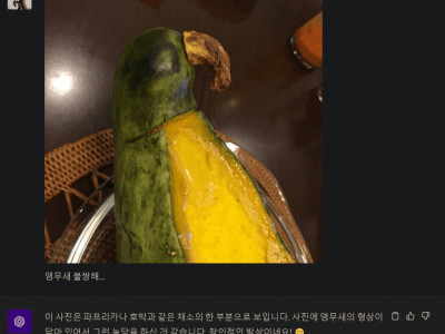 현재 gpt 이미지 인식 수준