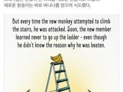 영장류사이에서 금기가 만들어지는 과정 ㄷ..JPG