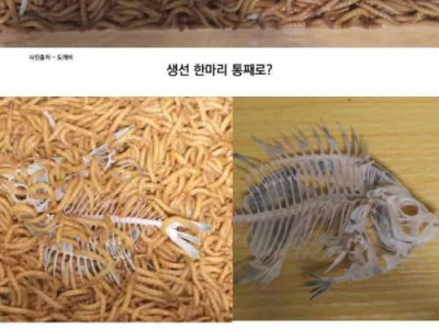 자연 청소부 밀월