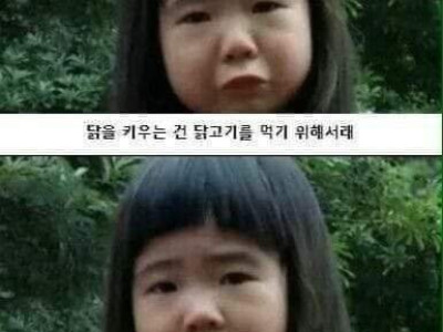 돼지를 키우는 건 돼지고기를 먹기 위해서래