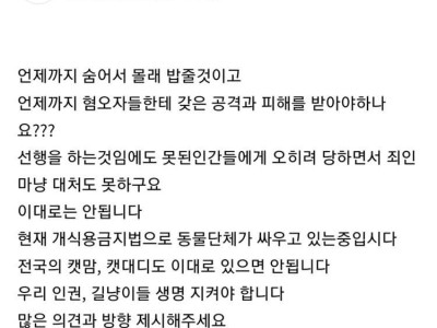 새벽까지 이어지는 캣맘들의 열렬한 토의.jpg