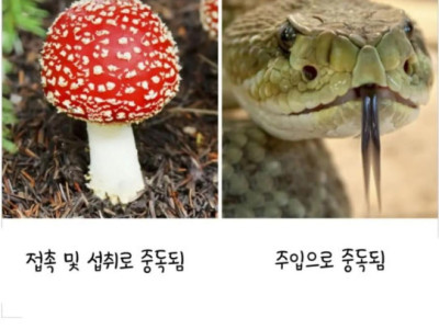 알쏭달쏭 영어