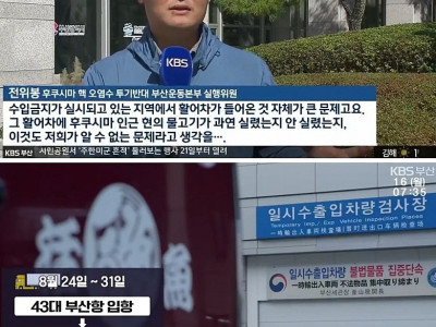 수상한 일본어 번호판 차량... 부산 앞바다에 벌인 일