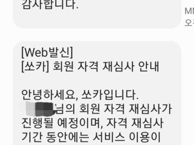 쏘카 영구정지된 아반떼N 운전자