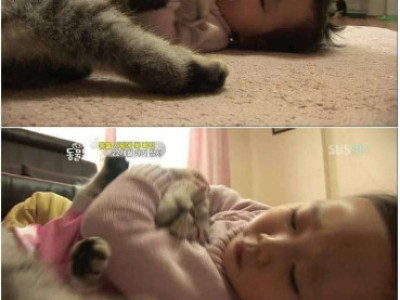 고양이 이름이 엔젤인 이유