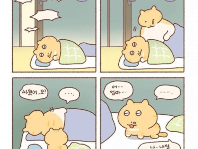 의외로 많다는 케이스.jpg