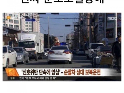 웃긴짤모음