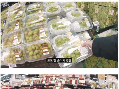 곽튜브가 여행한 나라중에 제일 비싼 나라.jpg