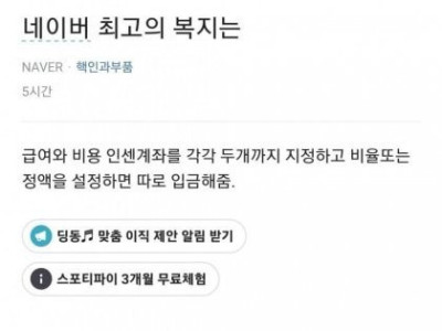 네이버 최고의 복지