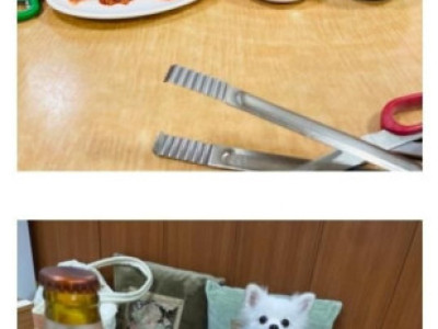 혼밥하면 앞에 강아지가 있어주는 설렁탕집.jpg