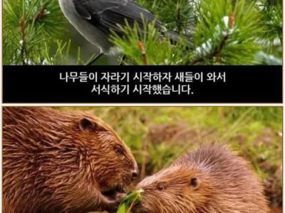 생태계의 신비함.jpg