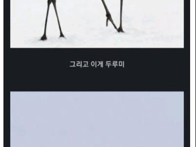 학이랑 두루미 구분하는 방법..jpg