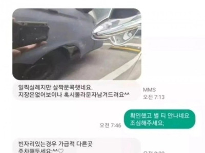 문콕 호의 최후ㄷㄷ