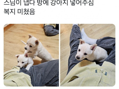 어느 템플스테이의 복지 수준.jpg
