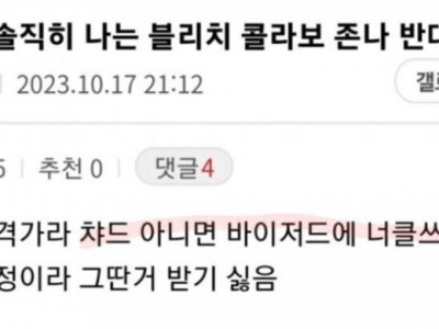 던파 유저들이 블리치랑 콜라보 하는 것을 반대하는 이유