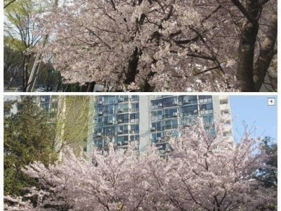 지은지 오래된 아파트 단지 특징..JPG