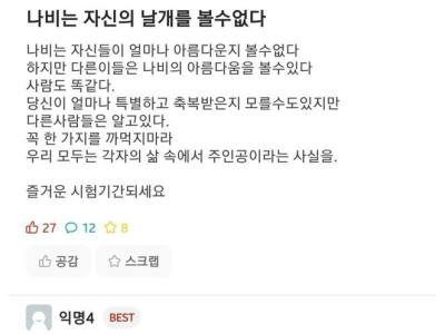 나비는 자신의 날개를 볼 수 없다.jpg