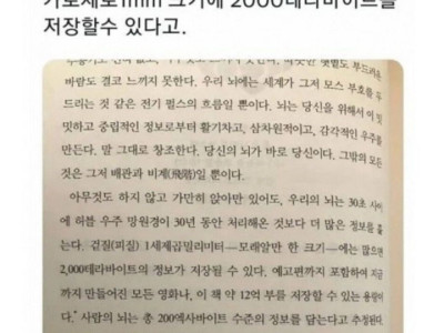 웃대] 알고 보면 대단한 뇌의 능력.jpg