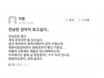 전남친 강아지 보고싶다