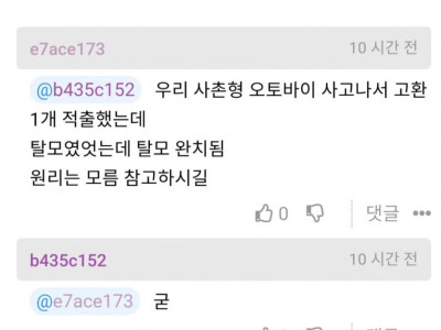 탈모 완치 방법