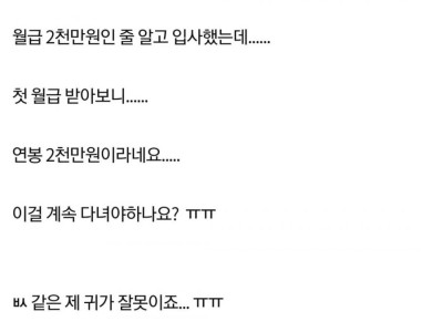 월급 2000만원 신입