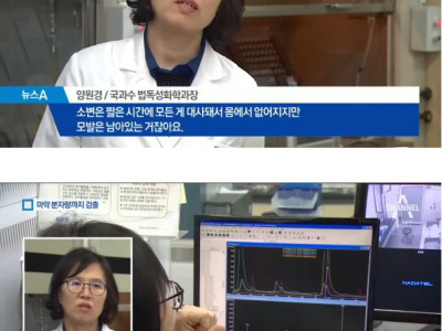 마약 검사를 위해 필요한 머리카락 갯수,jpg