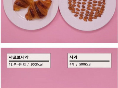 살찌는 이유, 500칼로리 음식의 극단적인 비교.jpg
