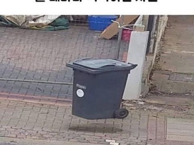 볼 때마다 착각하는 사진.jpg
