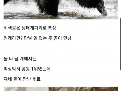 센놈+센놈=겁나센놈