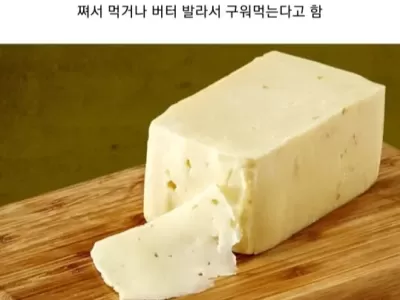 세계 10대 악취 음식 ㄷ..jpg