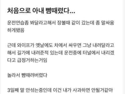 운전연습중 아내 뺨때린 남편..jpg
