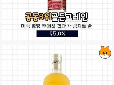 세계에서 가장 독한술 top8