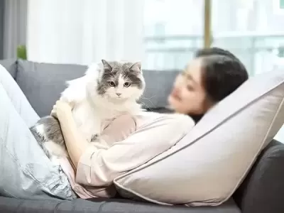 고양이 수명 '15년' 더 연장해 최대 30살까지 살게 하는 '신약' 개발됐다