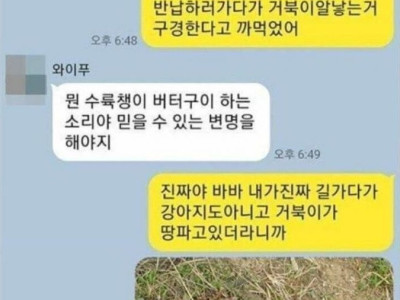 어느 남편의 변명.jpg